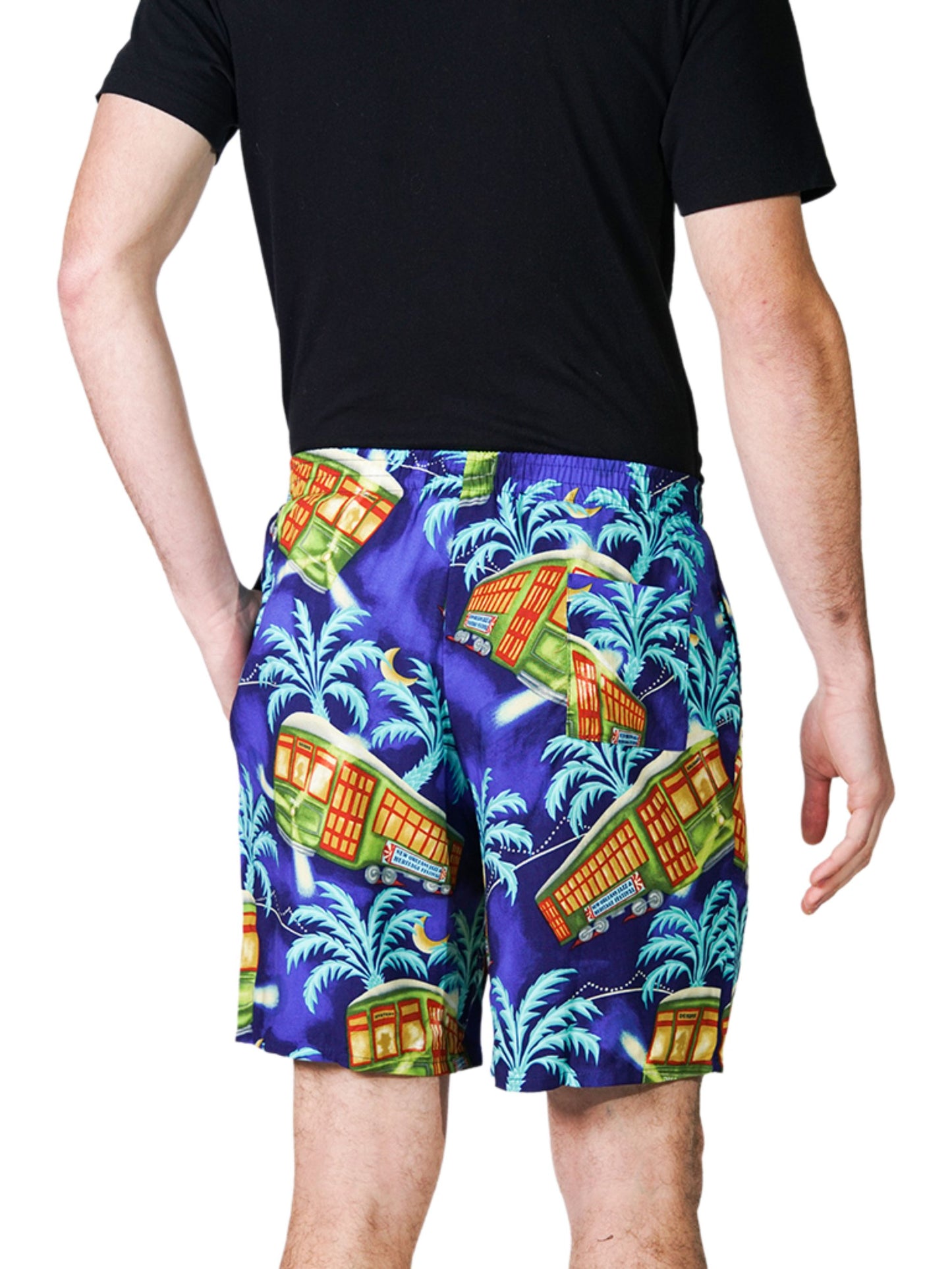 Bayou Shorts- Stellar! A Streetcar's Famed Attire™ Print