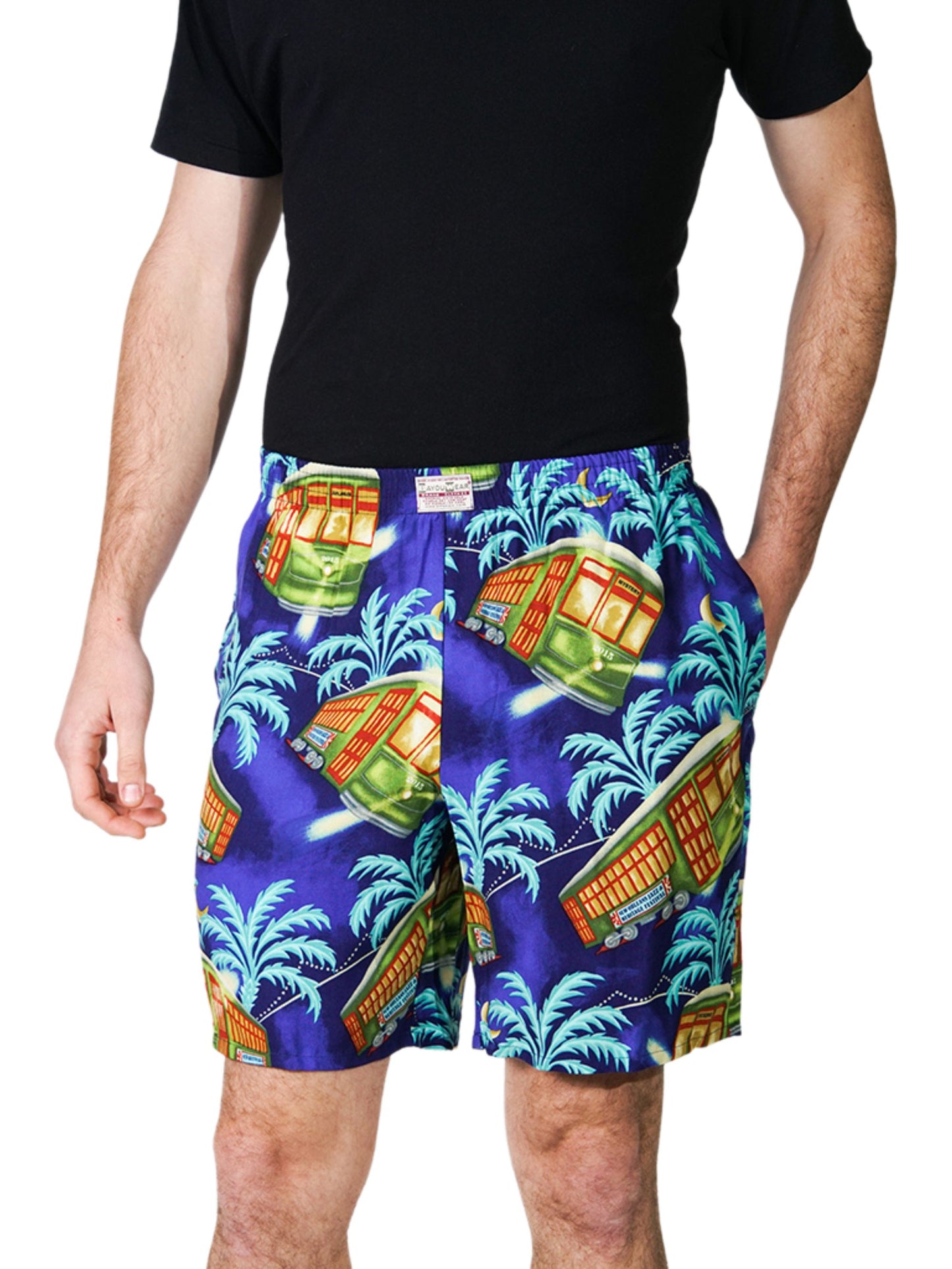 Bayou Shorts- Stellar! A Streetcar's Famed Attire™ Print