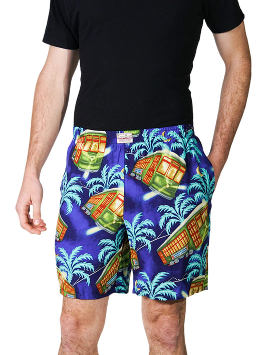 Bayou Shorts- Stellar! A Streetcar's Famed Attire™ Print